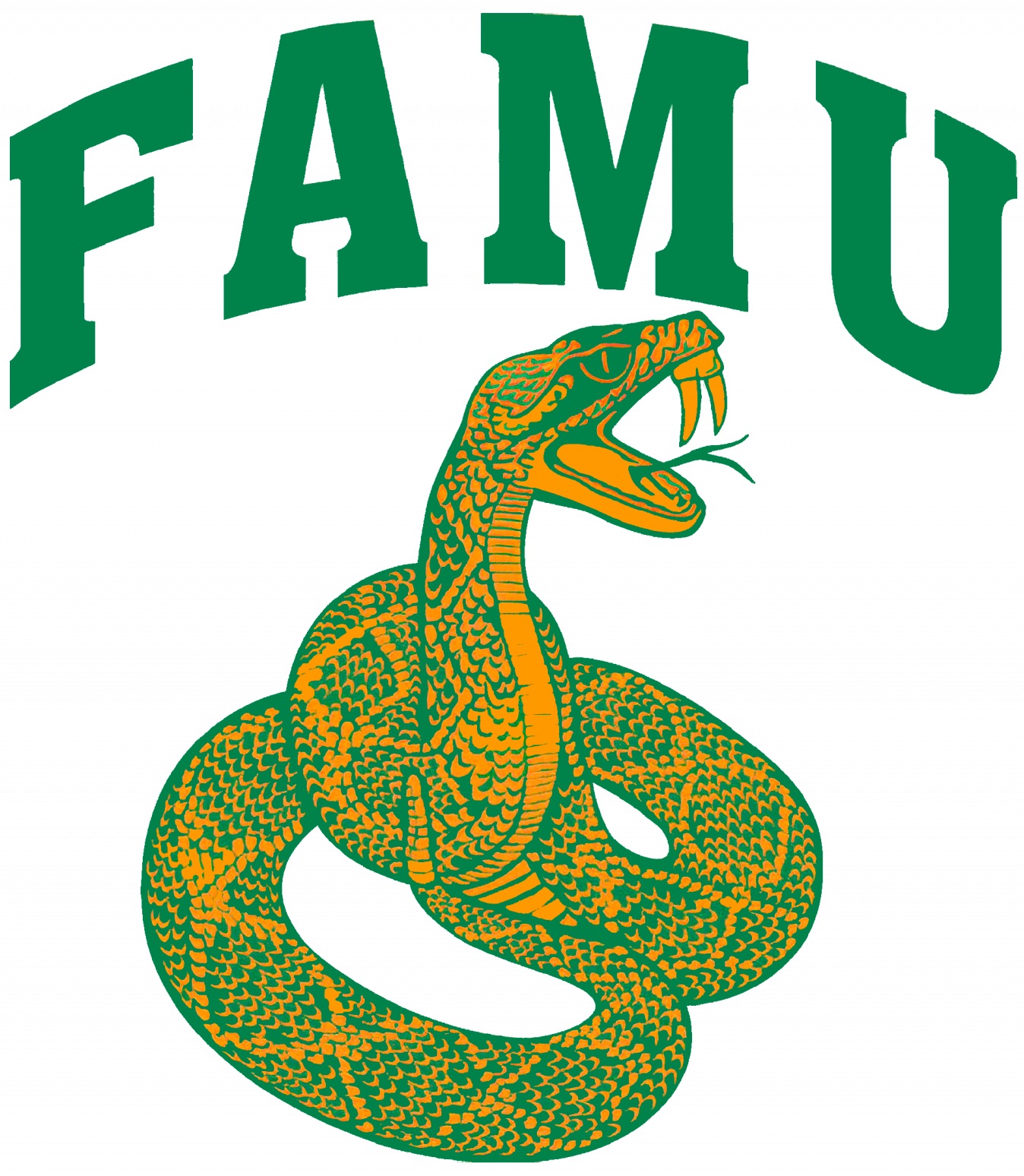 Florida A&M Logo