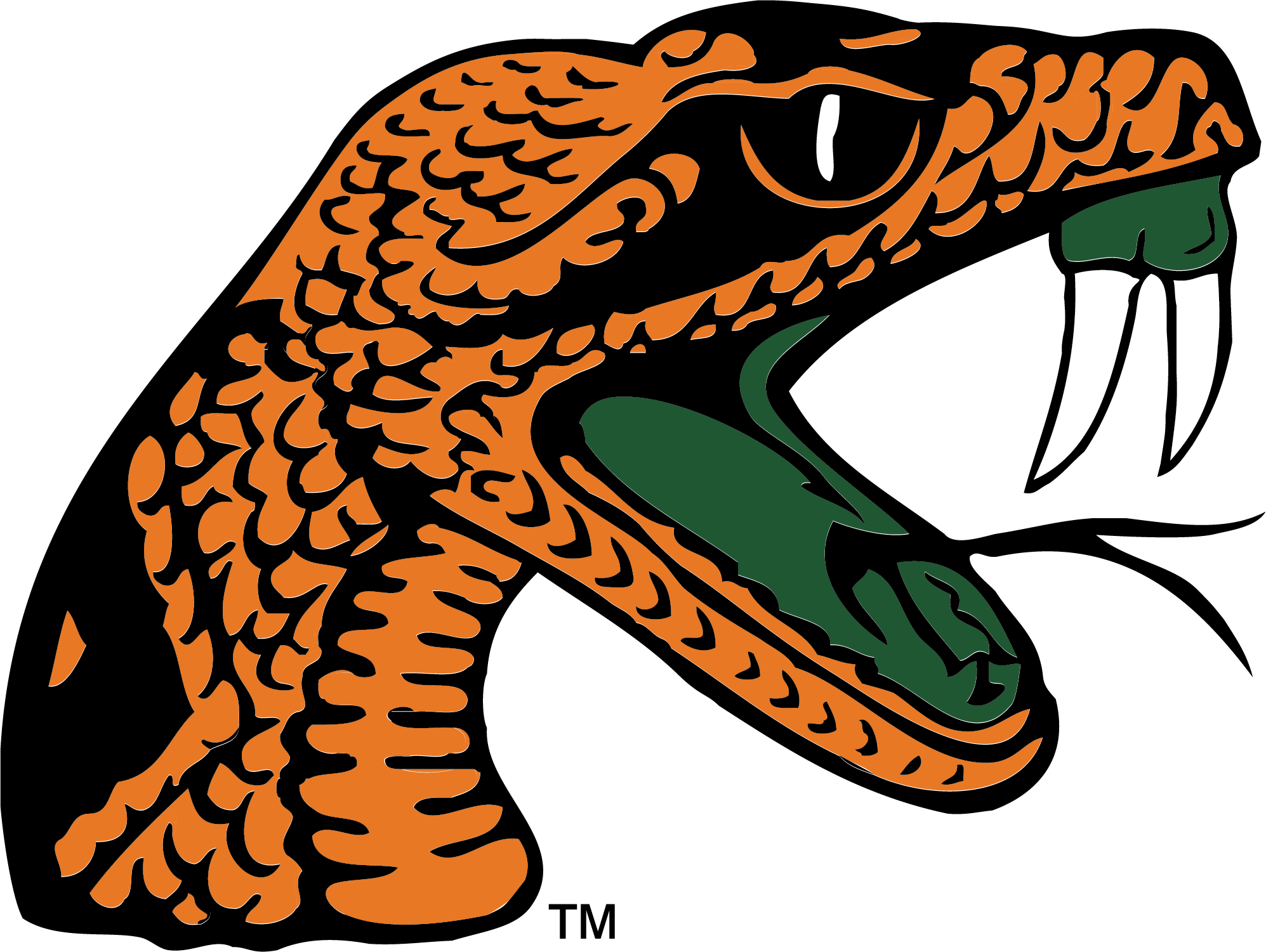 Florida A&M Logo